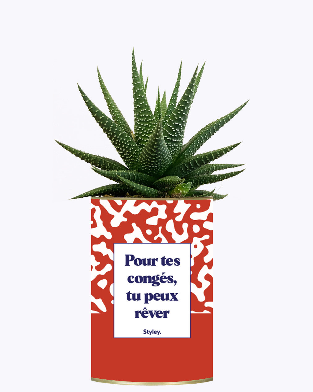 Pour tes congés, tu peux rêver - Cactus