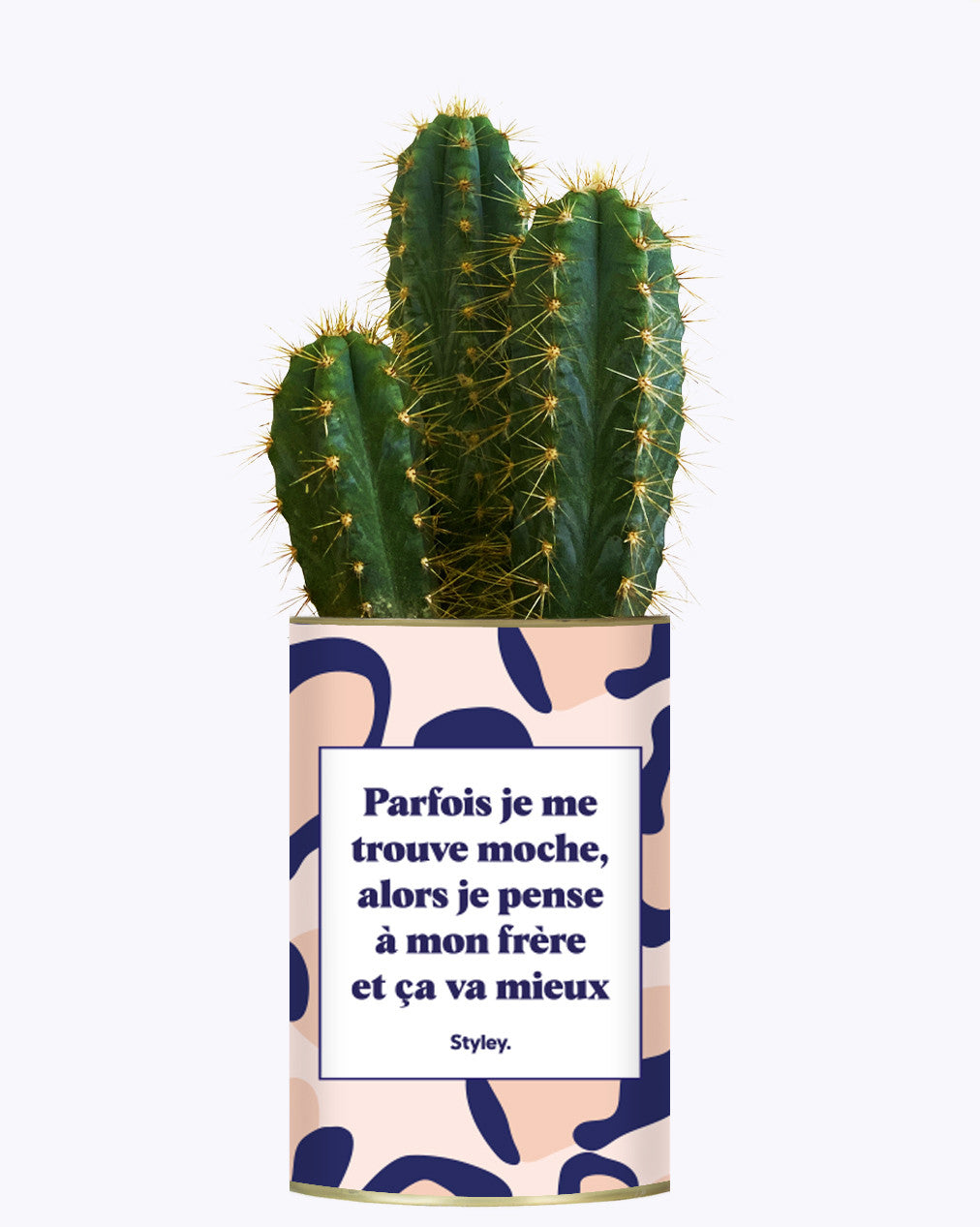 Frère moche - Cactus