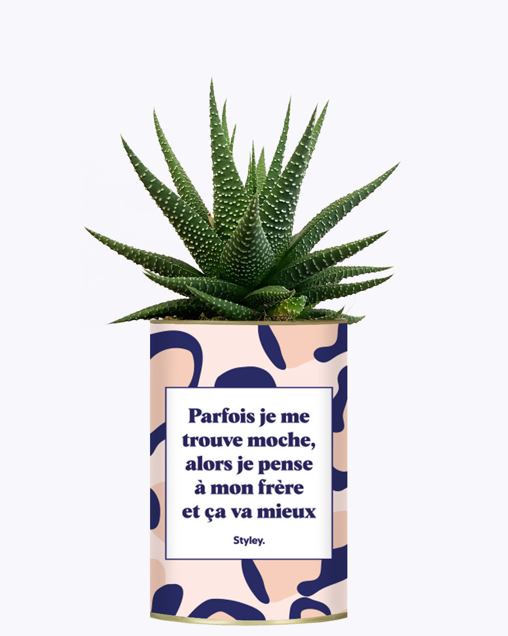 Frère moche - Cactus