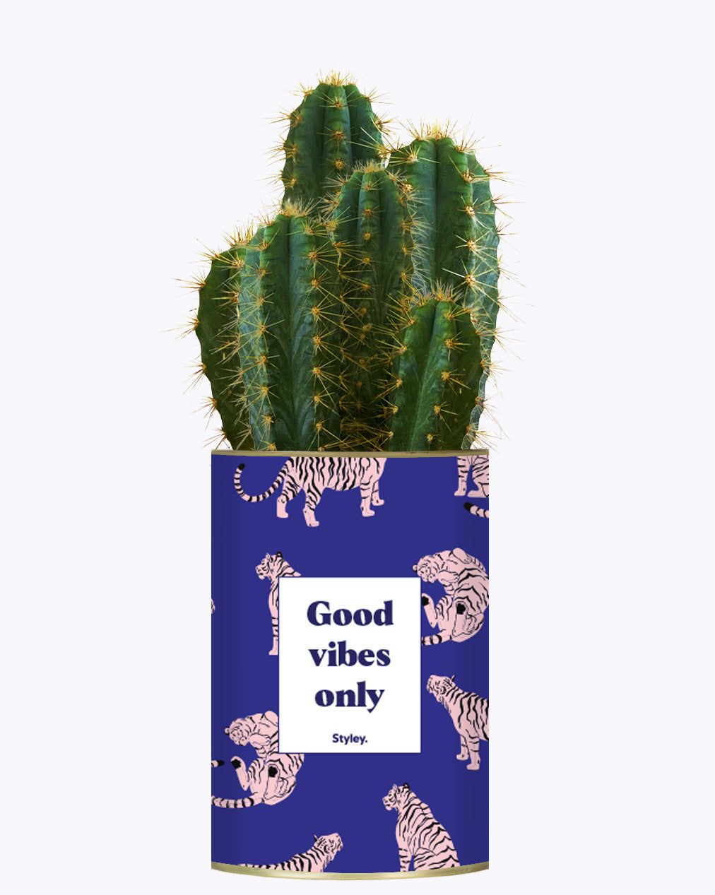Good Vibes Only - Cactus