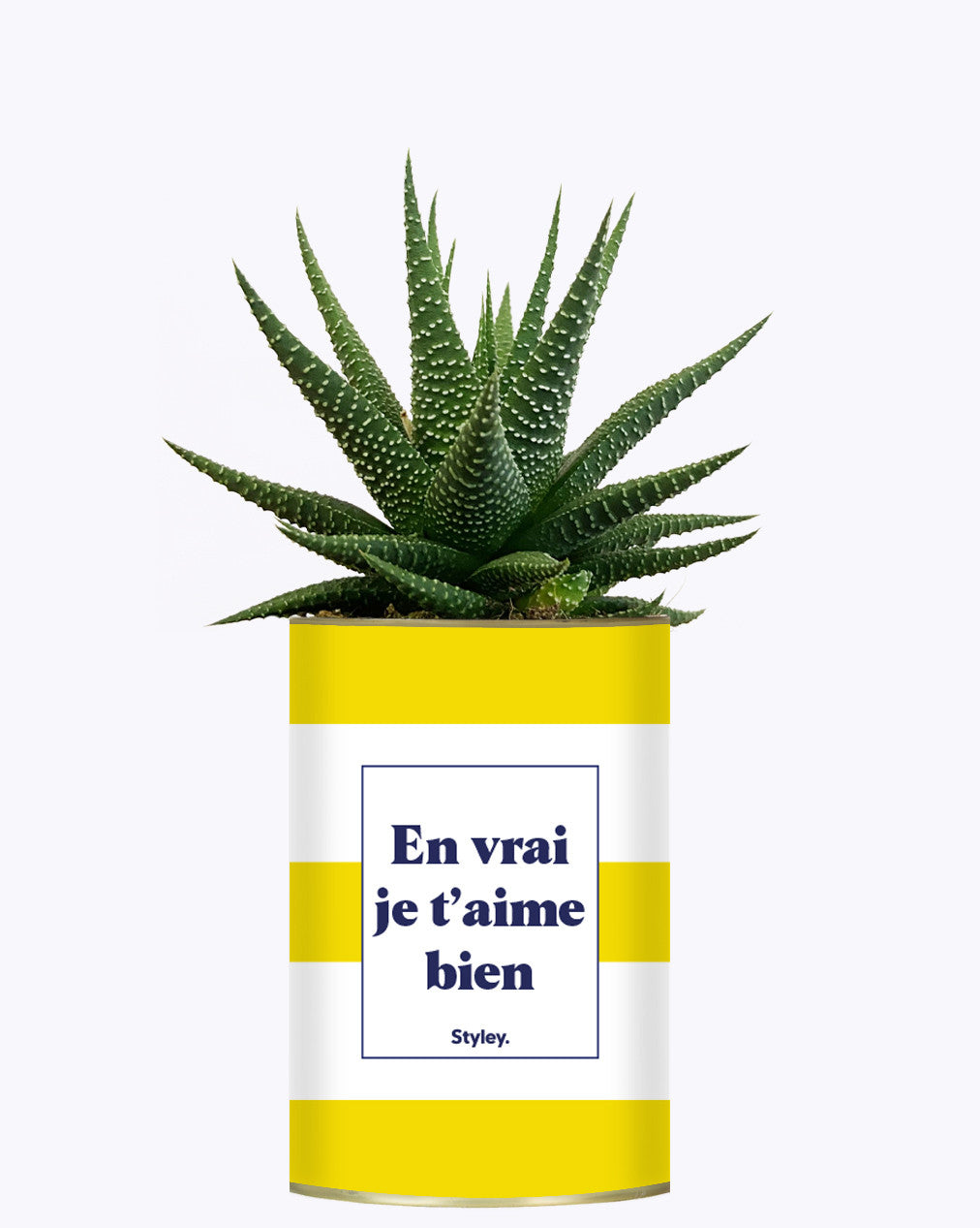 En vrai je t'aime bien - Cactus