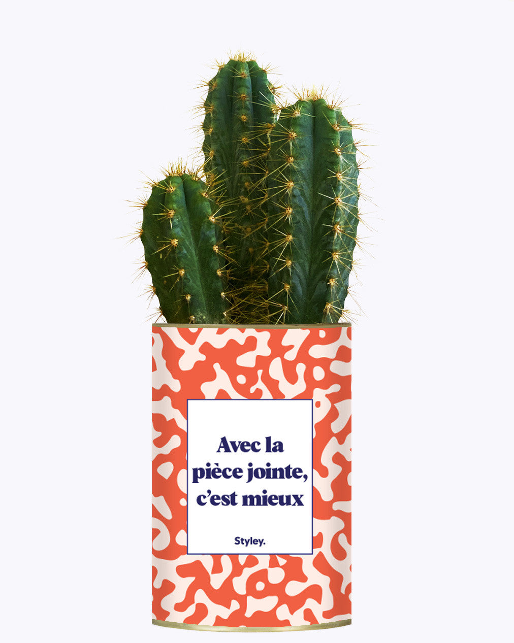 Avec la pièce jointe - Cactus