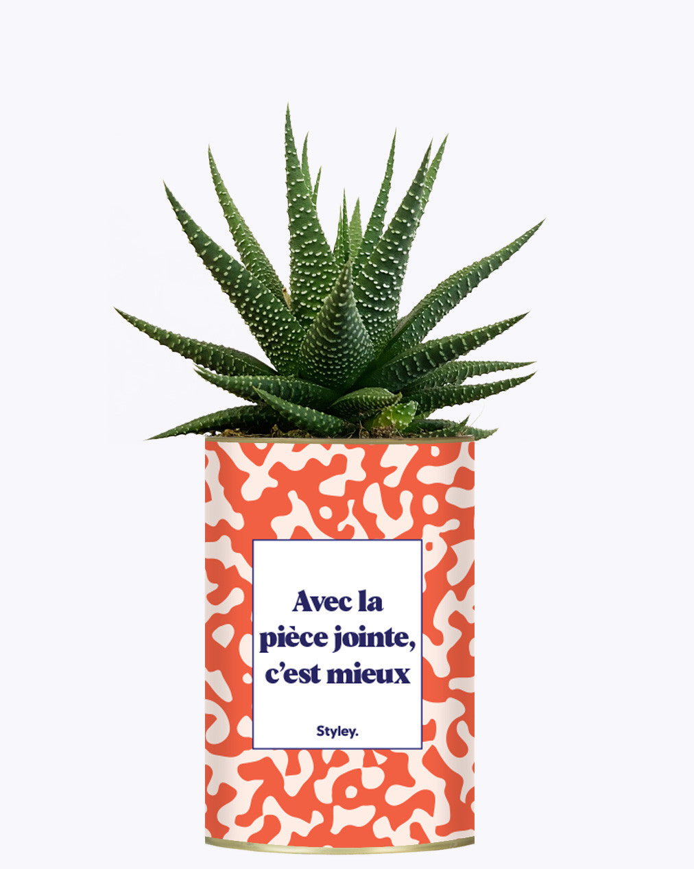Avec la pièce jointe - Cactus