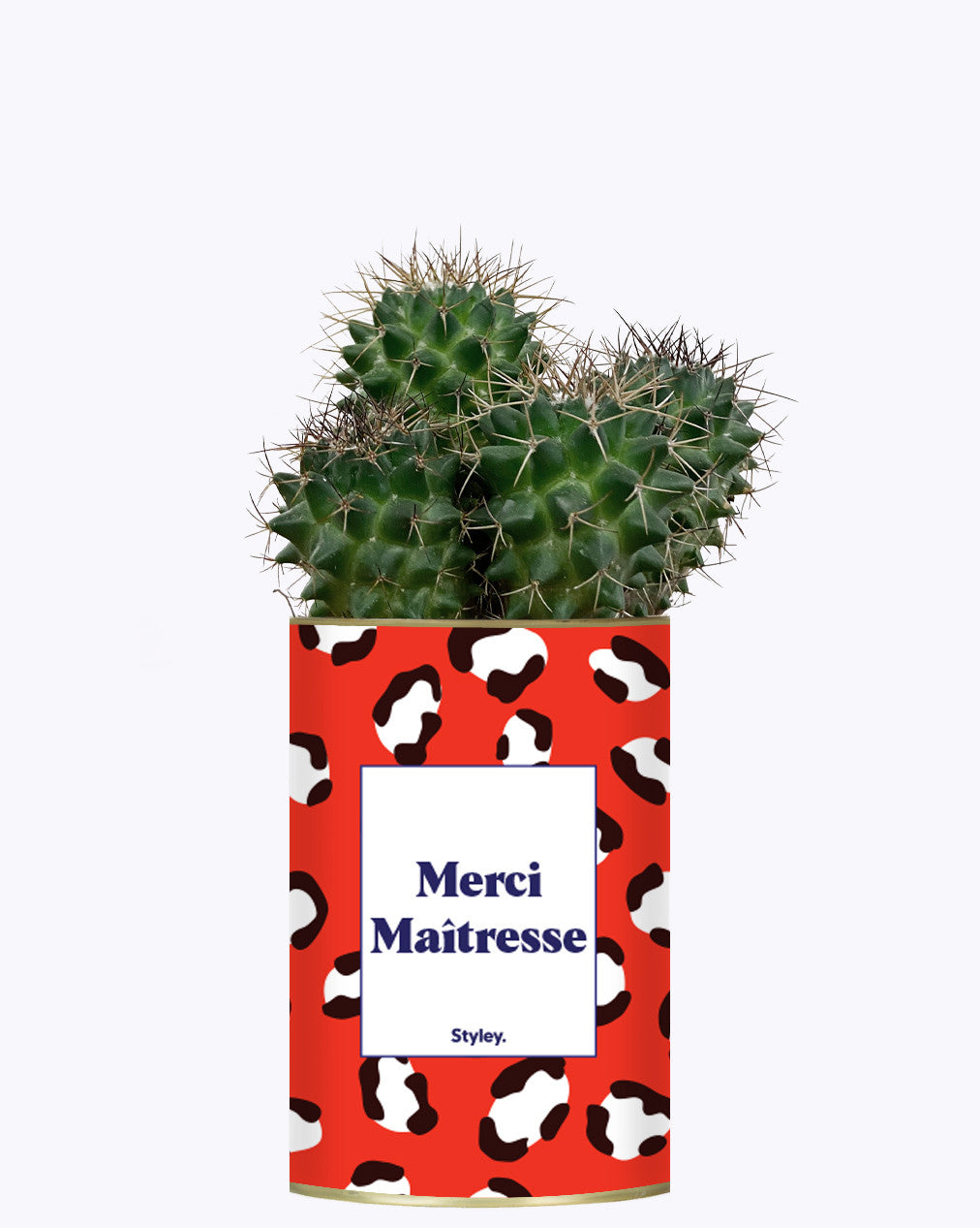 Merci Maîtresse - Cactus