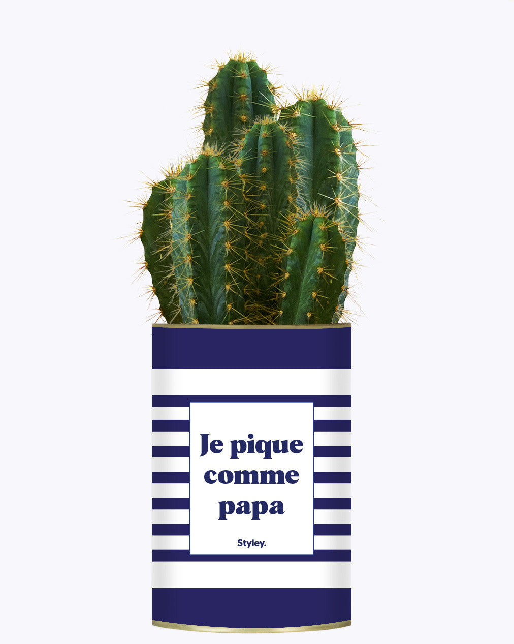 Je pique comme papa - Cactus