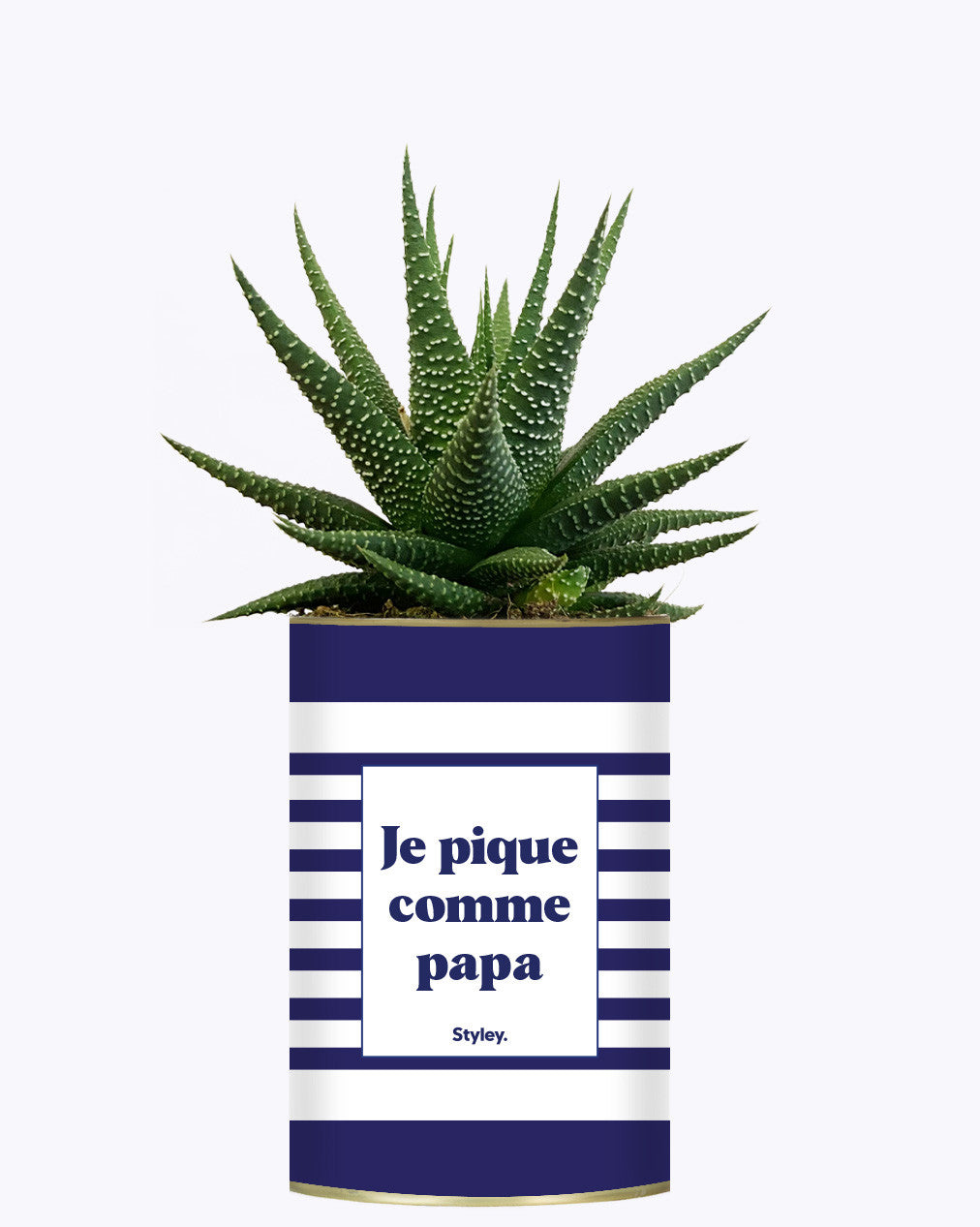 Je pique comme papa - Cactus
