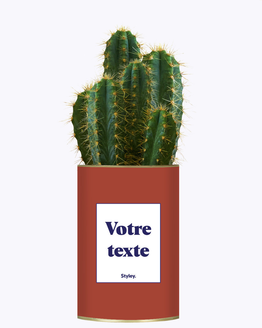 Cactus TerracoPapa - Personnalisable