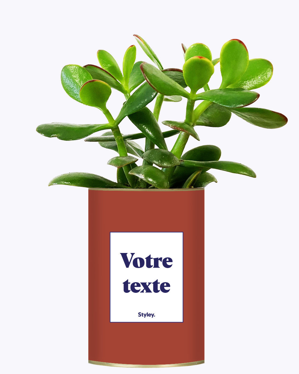 Cactus TerracoPapa - Personnalisable