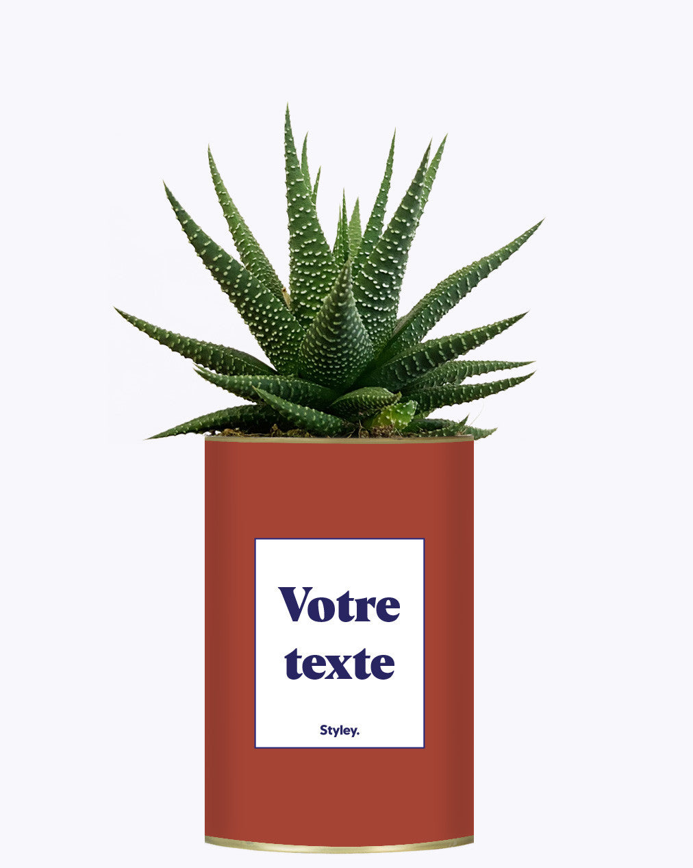 Cactus TerracoPapa - Personnalisable