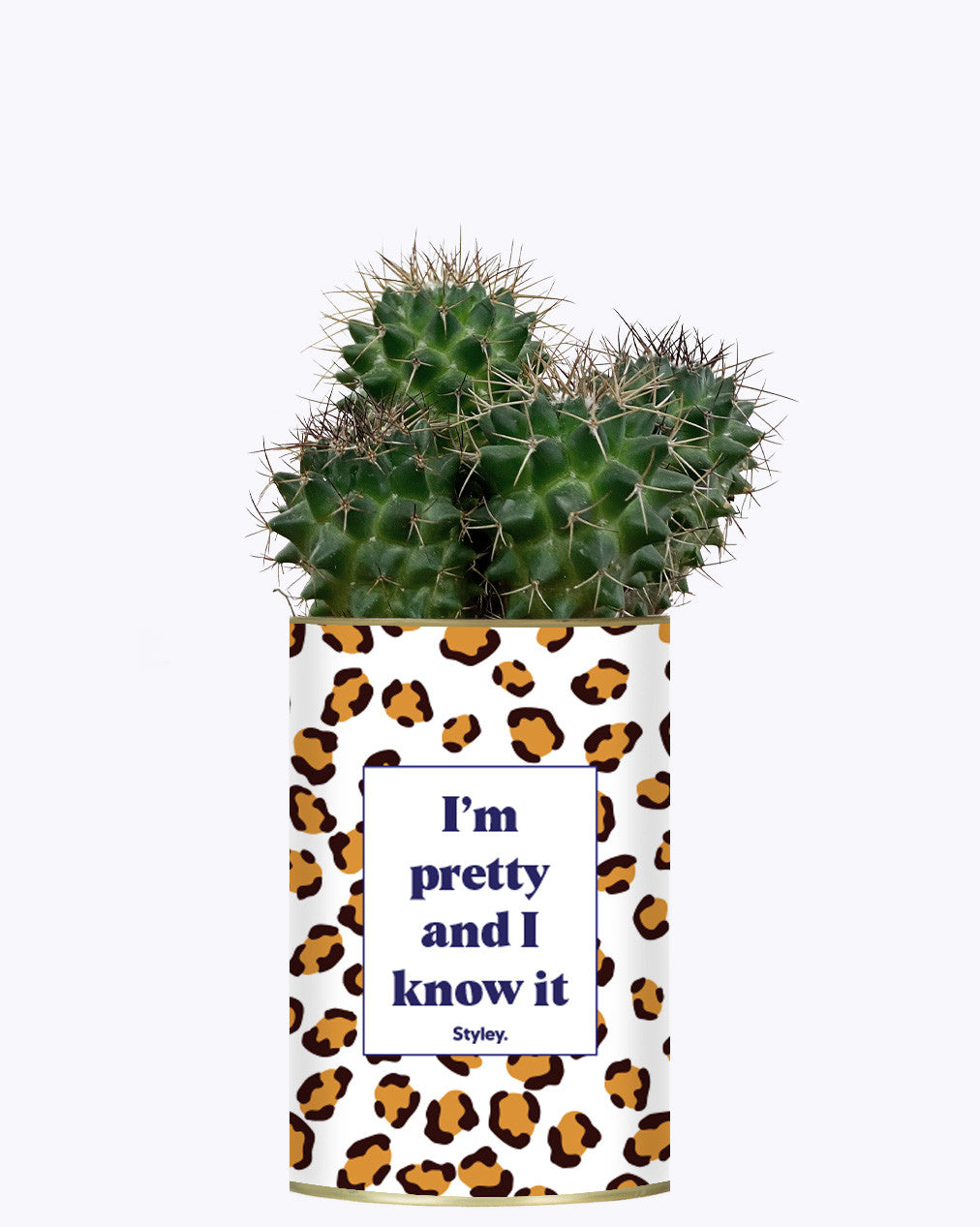 I'm pretty and I know it - Cactus