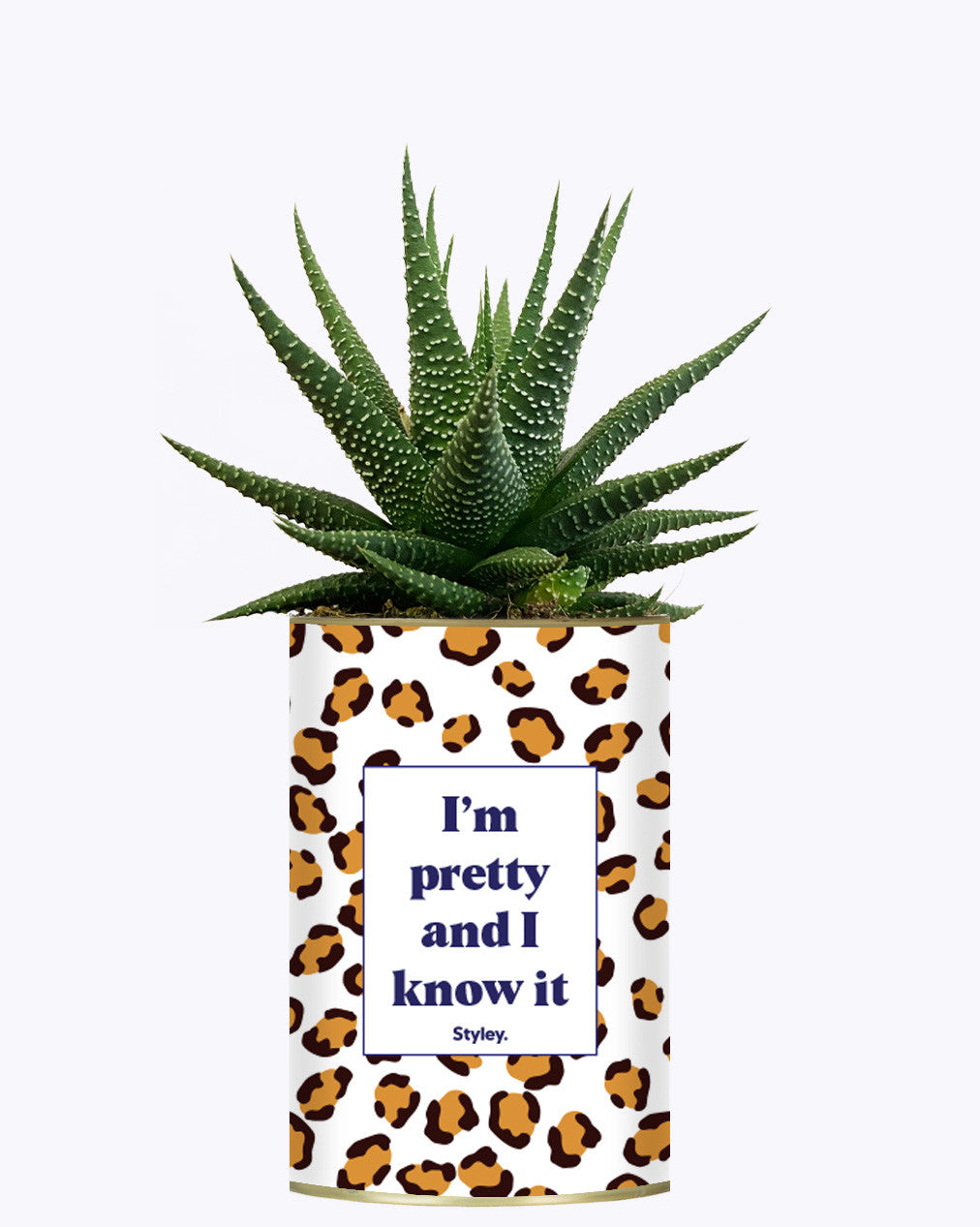 I'm pretty and I know it - Cactus