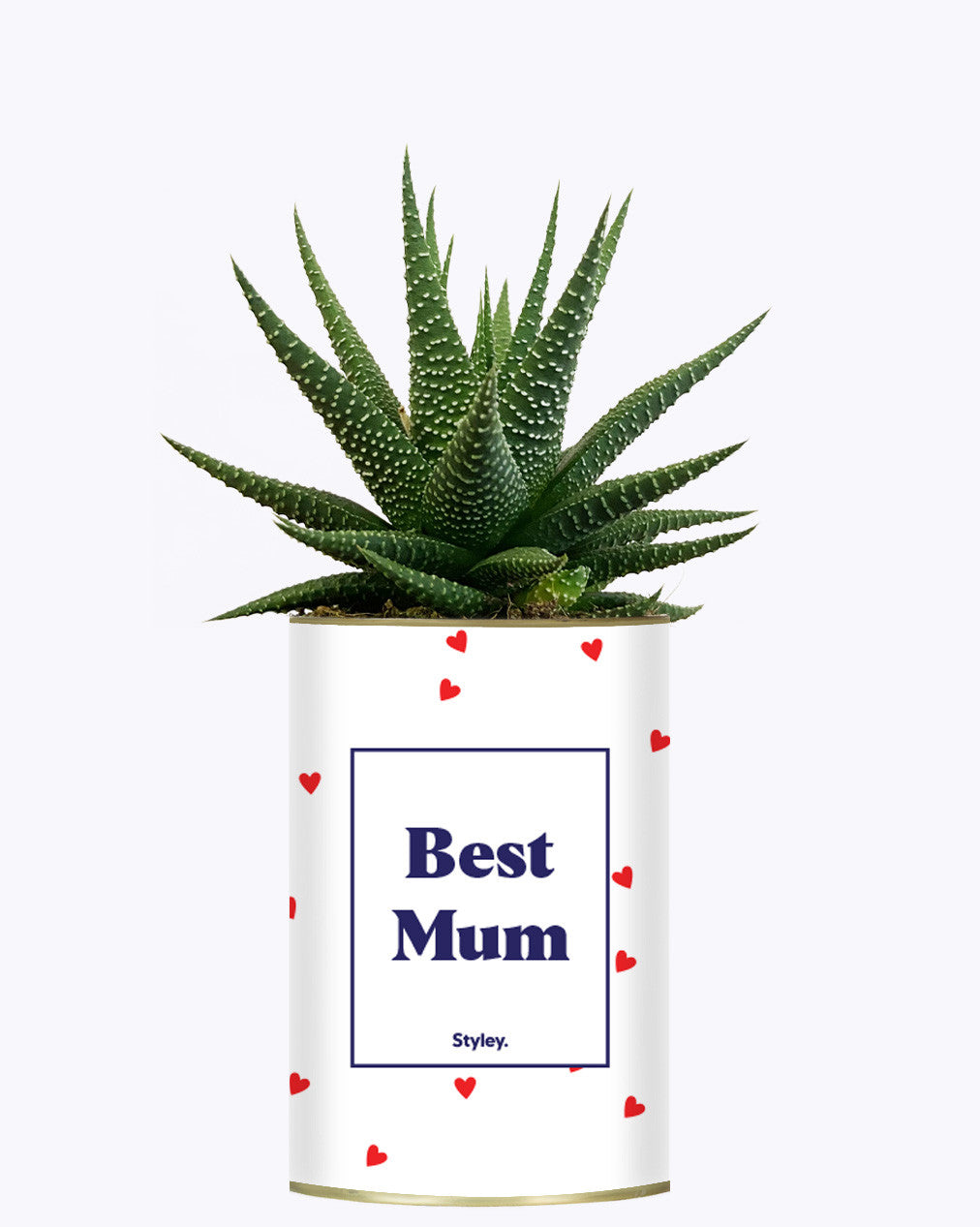 Best Mum - Cactus