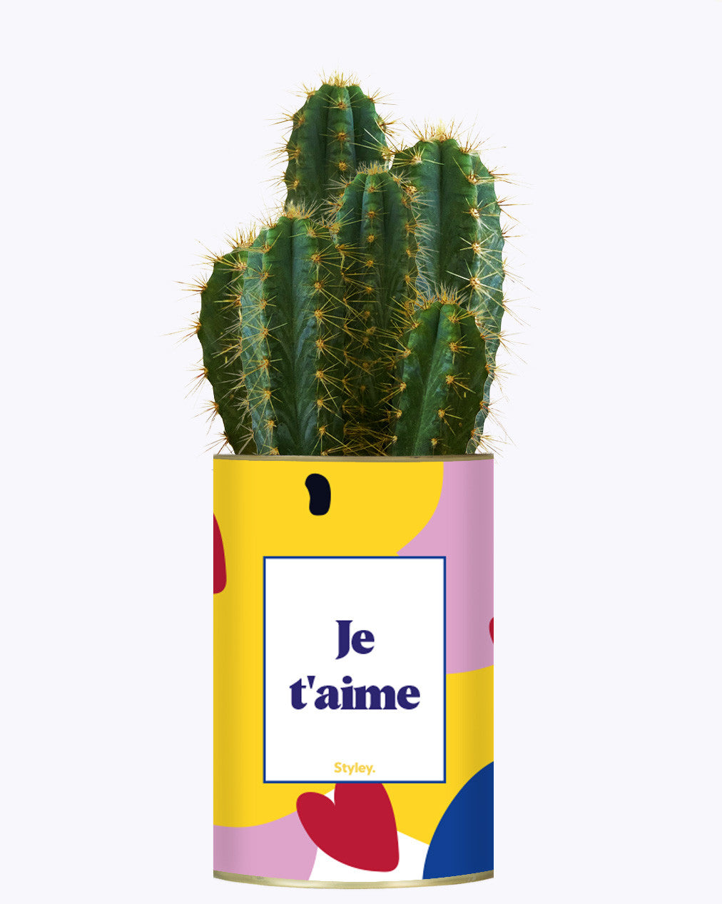 Je t'aime - Cactus