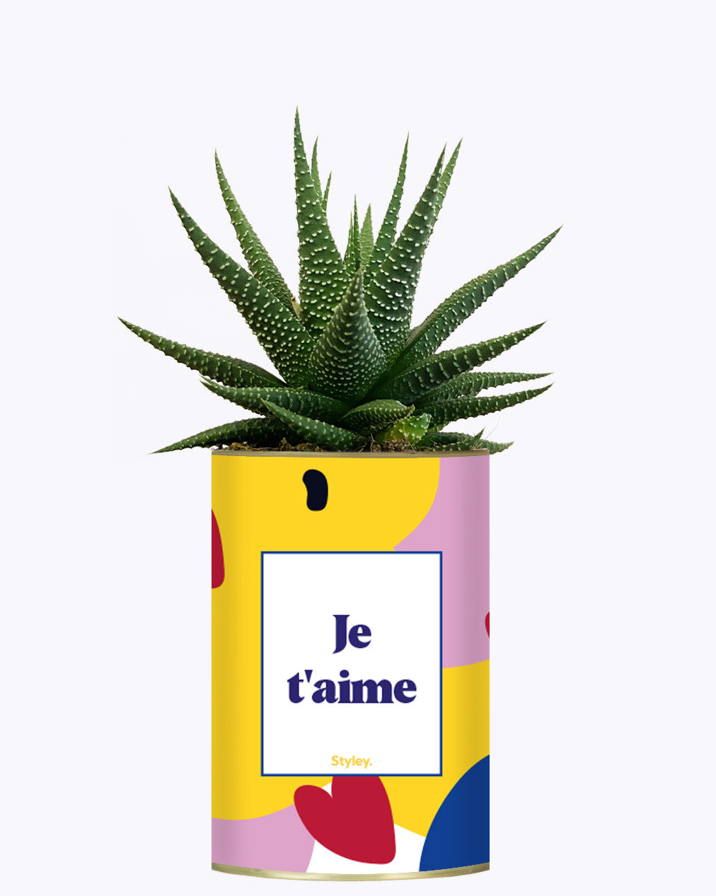 Je t'aime - Cactus