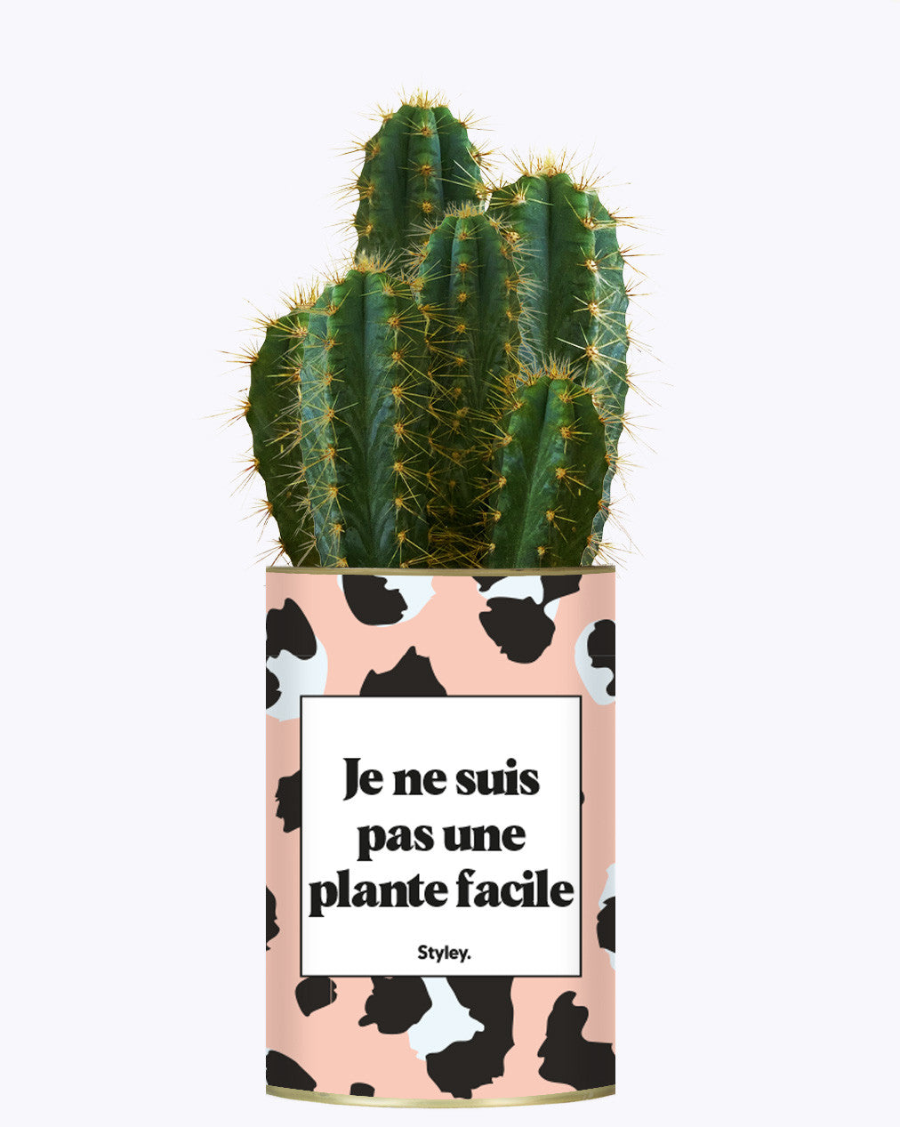 Je ne suis pas une plante facile - Cactus