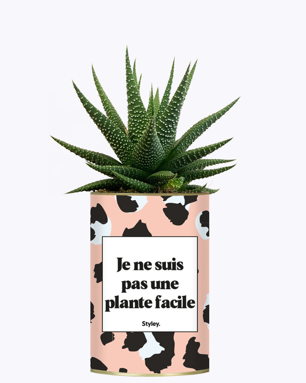 Je ne suis pas une plante facile - Cactus
