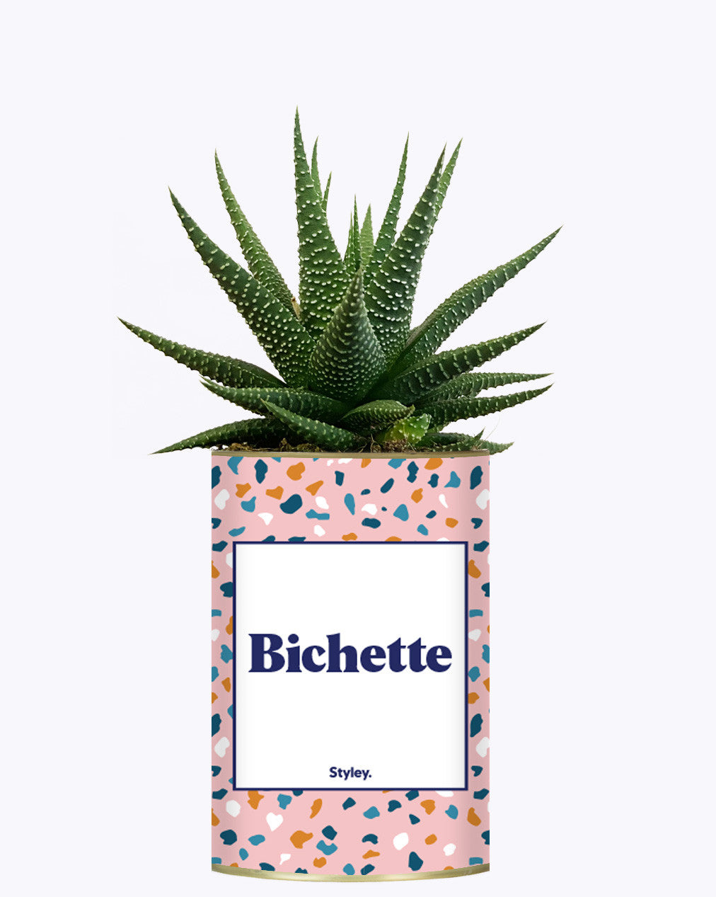 Bichette - Cactus