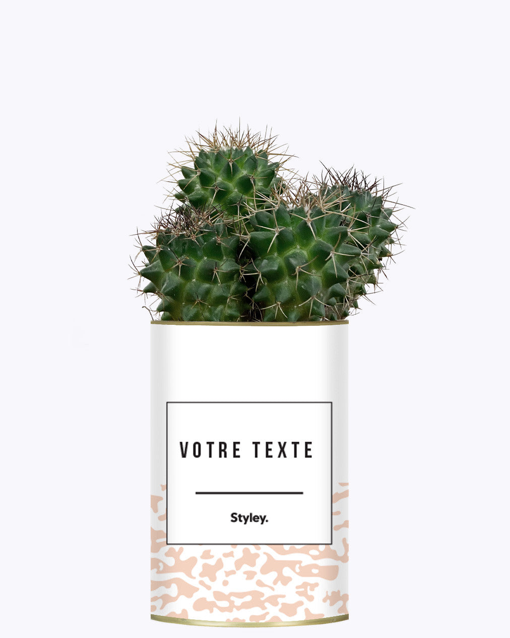 Adjectif personnalisable rose - Cactus