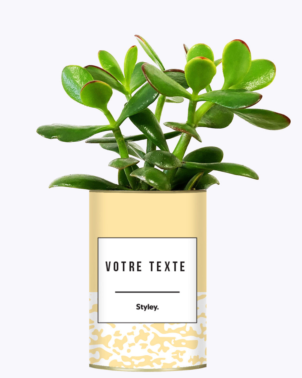 Adjectif personnalisable jaune - Cactus