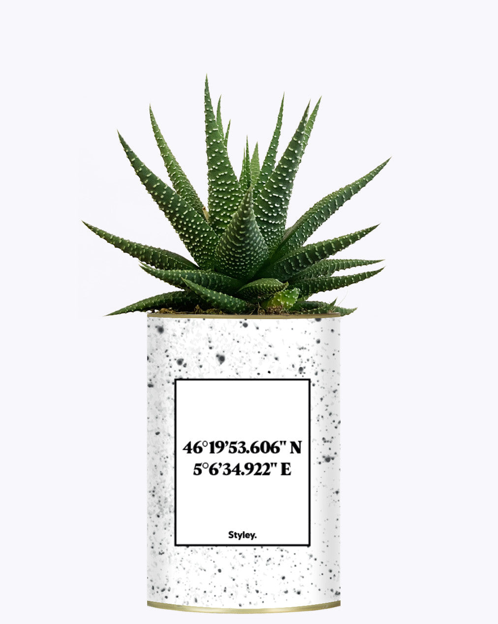 Coordonnées personnalisables - Cactus