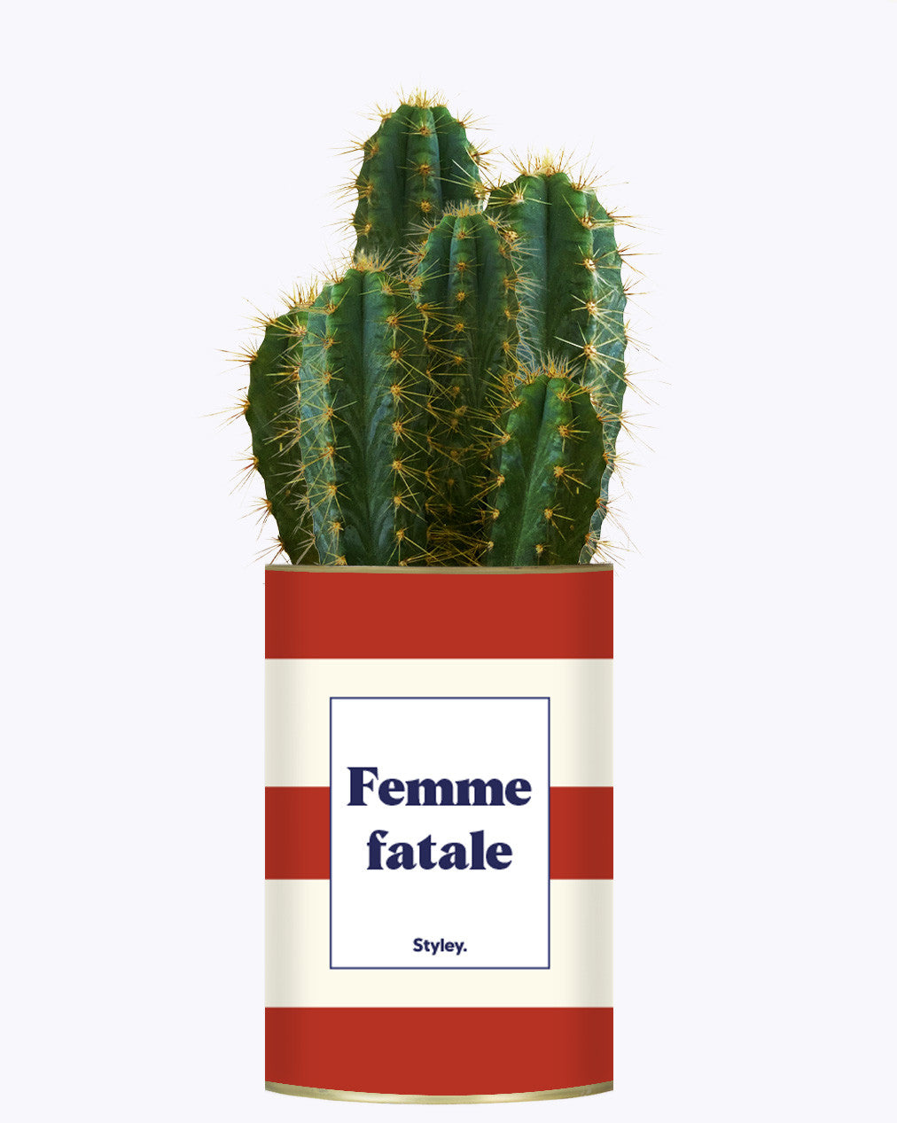 Femme fatale - Cactus