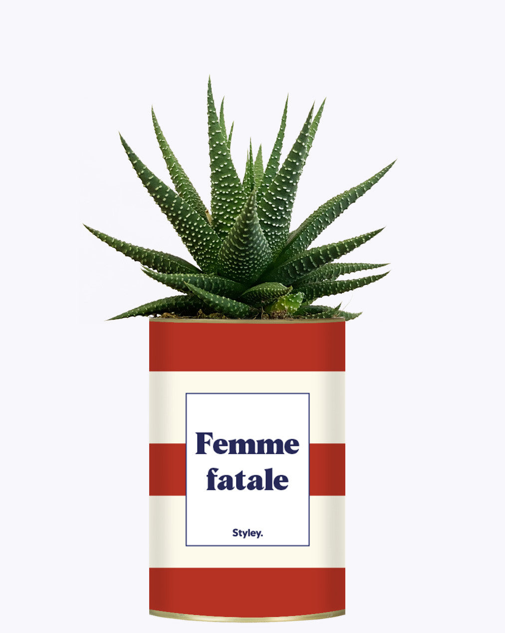 Femme fatale - Cactus