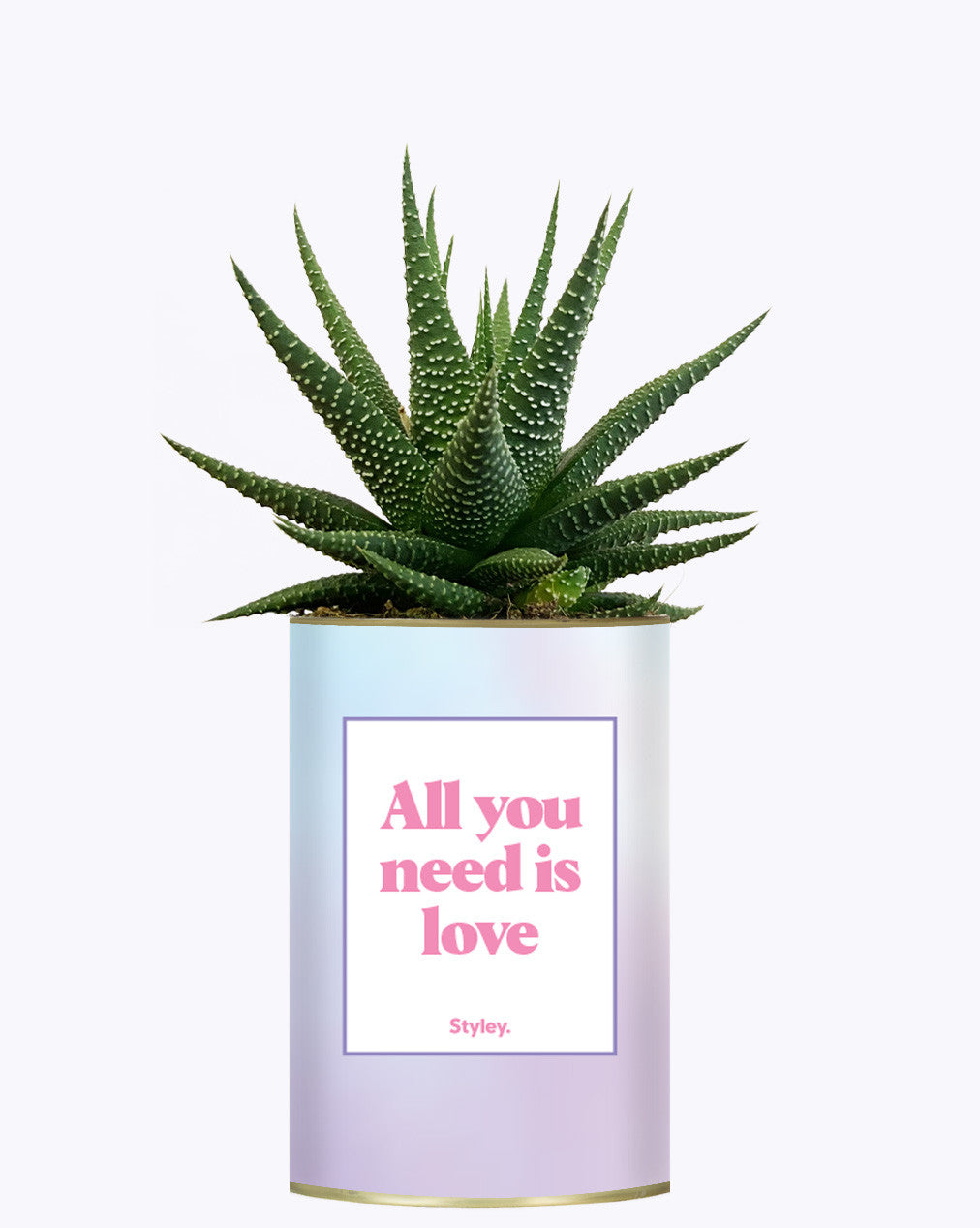 All you need is love - Cactus