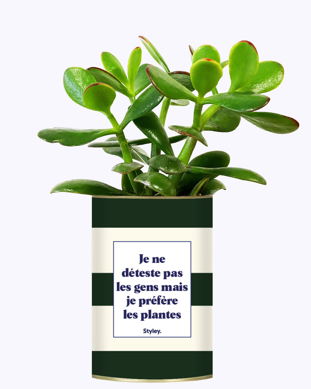 Je ne déteste pas les gens mais je préfère les plantes - Cactus