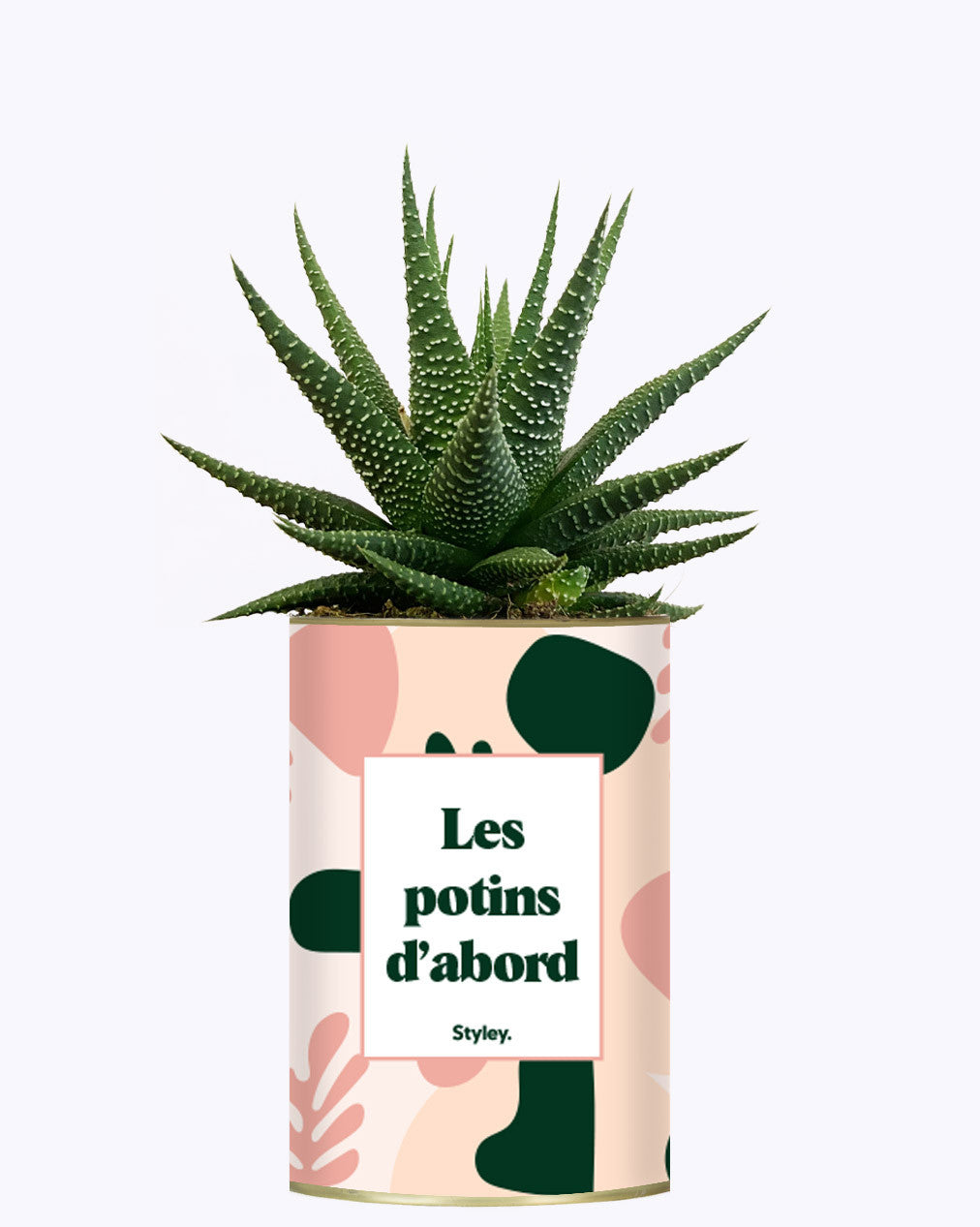 Les potins d'abord - cactus