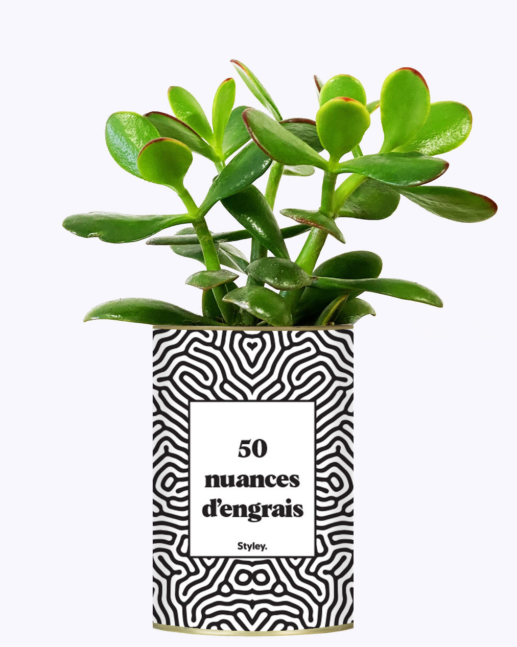 50 Nuances d'engrais - Plante grasse