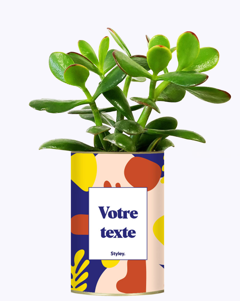 Cactus Josiane - Personnalisable