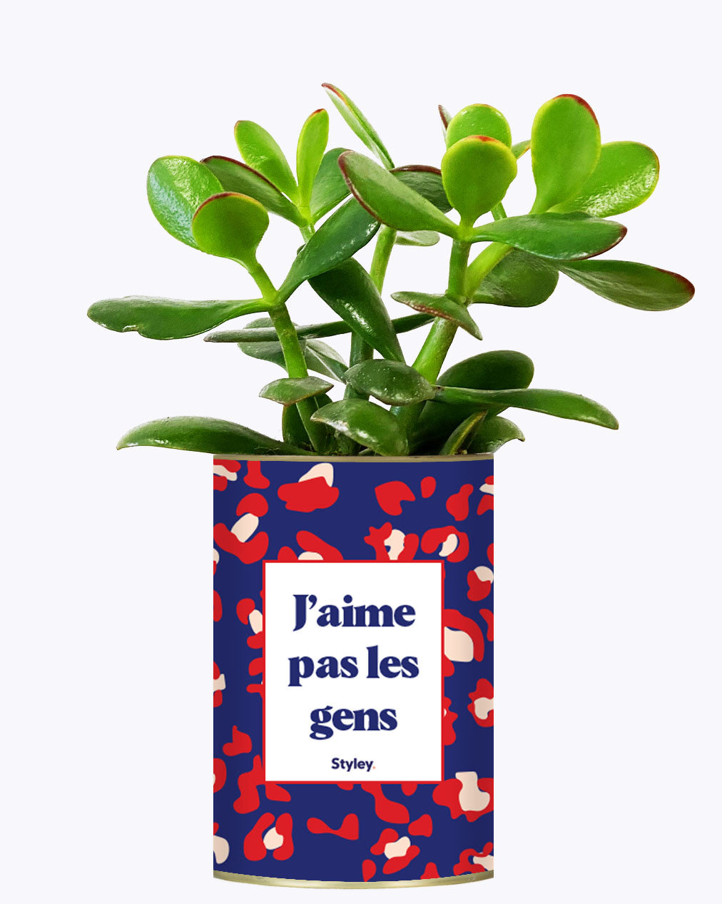 J'aime pas les gens - Plante
