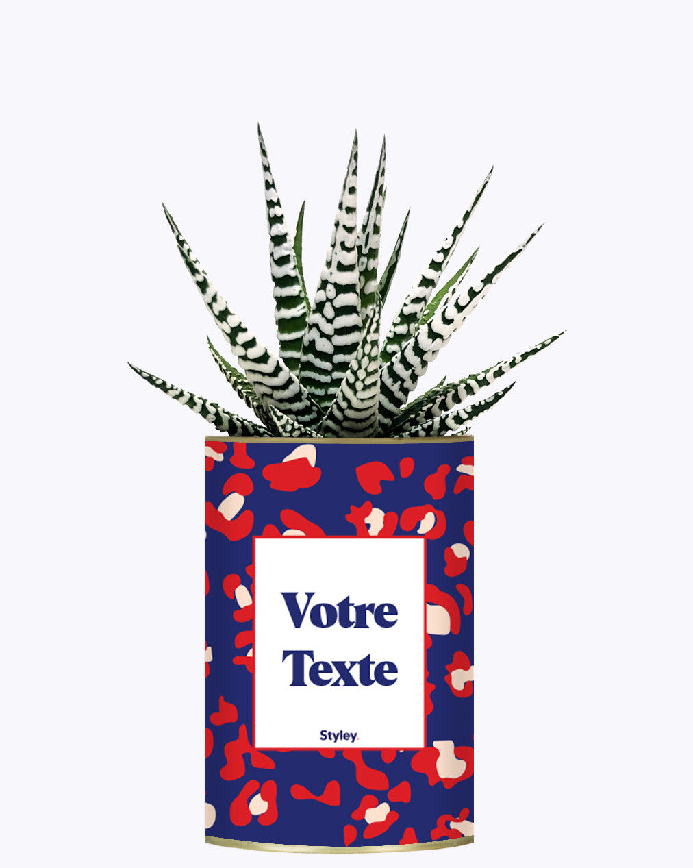 Cactus Lison - Personnalisable