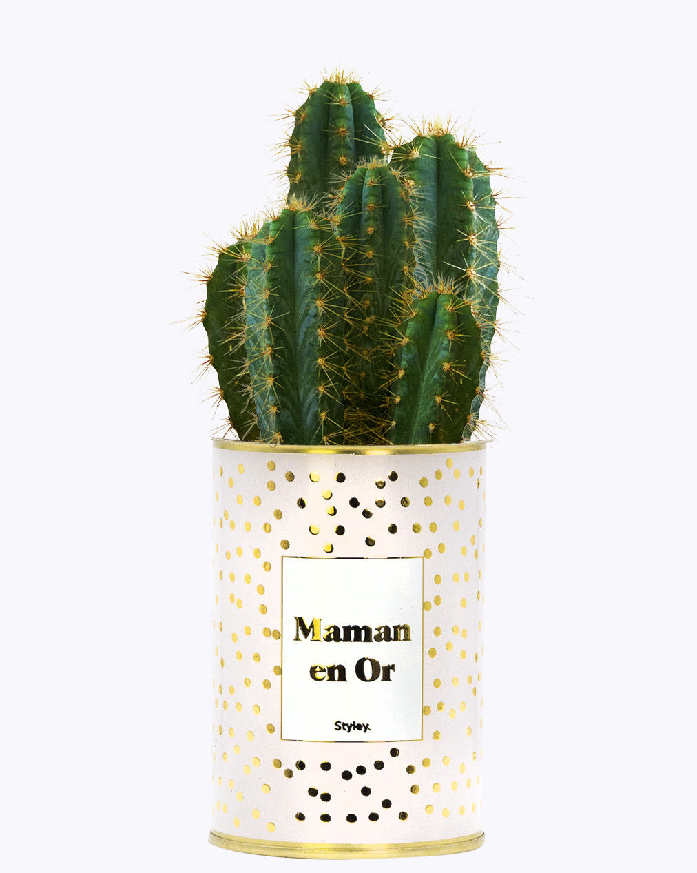 Maman en Or - Cactus - Finition doré