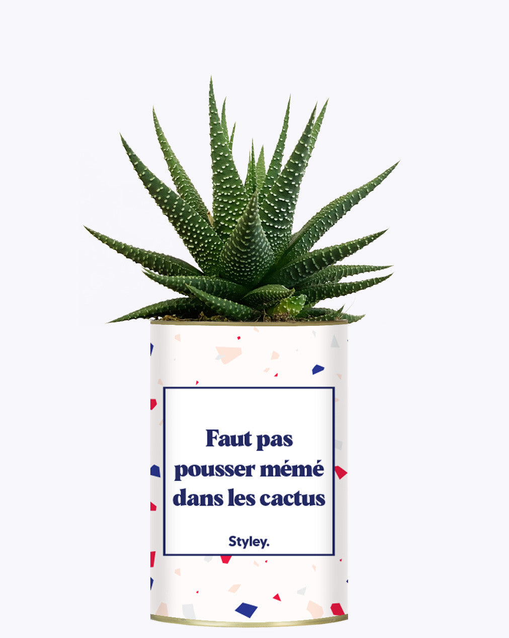 Faut pas pousser mémé dans les cactus - Cactus