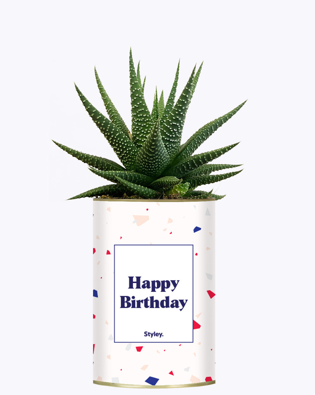 Happy Birthday - Cactus