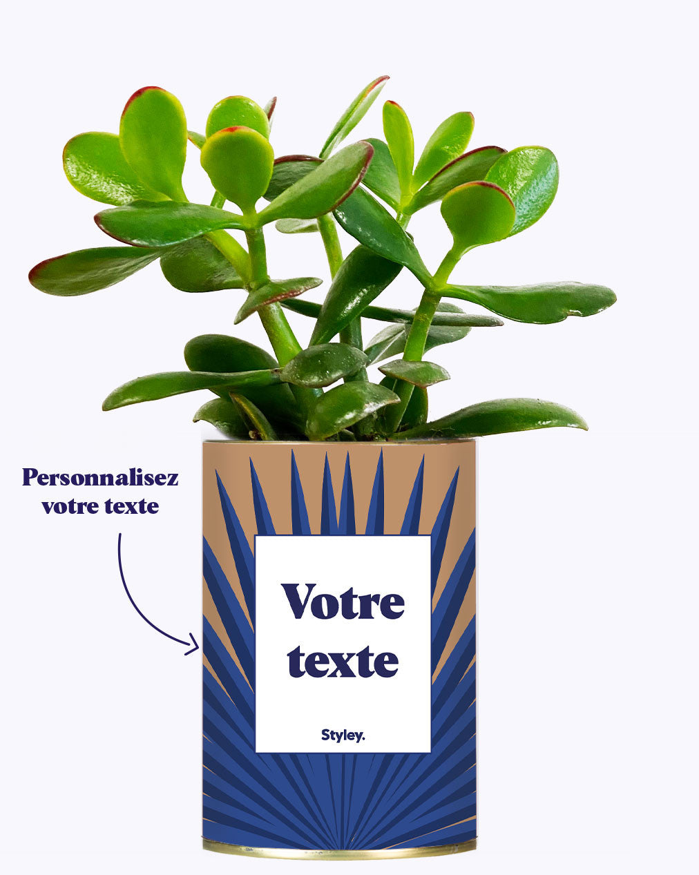 Grande Palme - Plante personnalisable