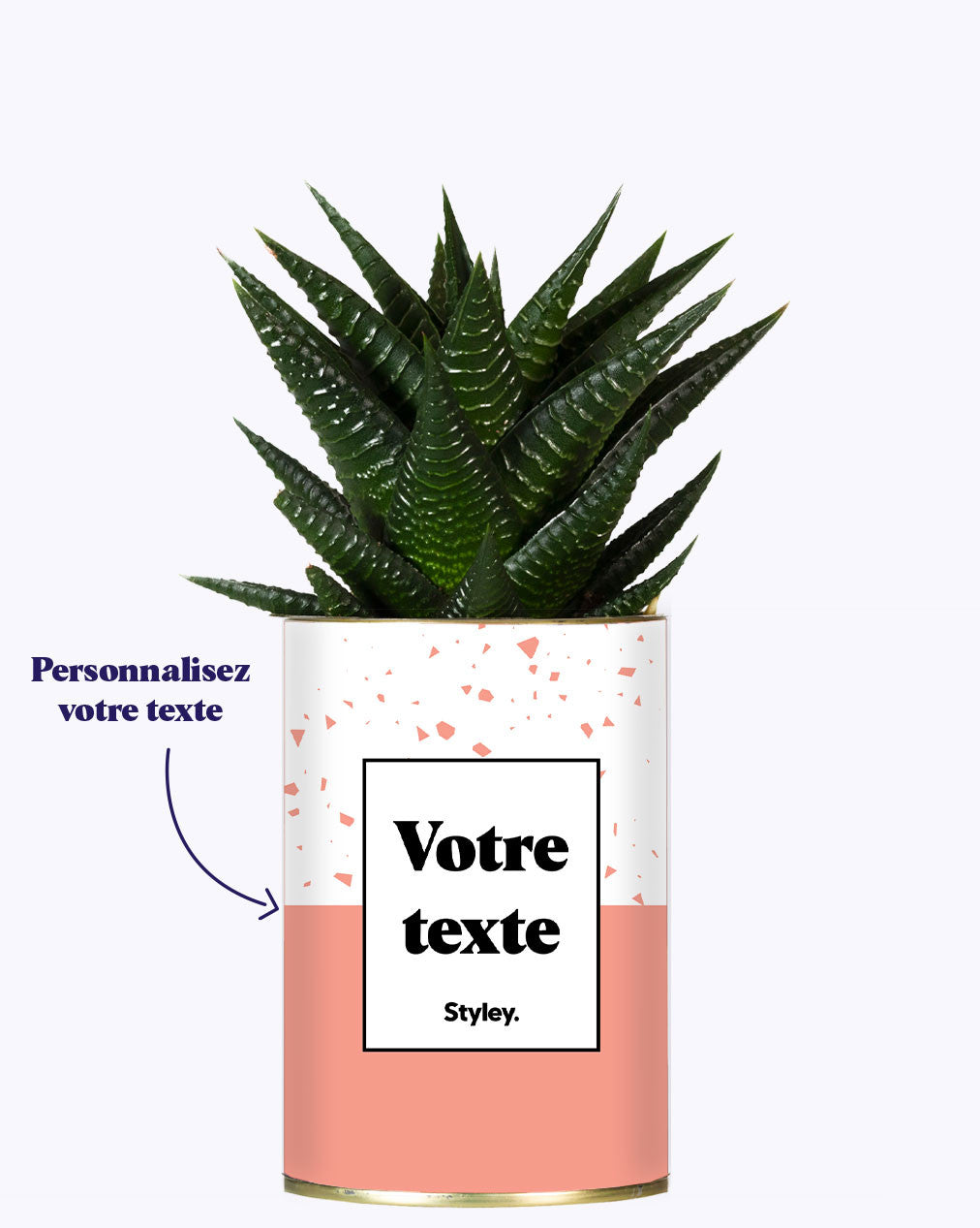 Terrazzo Rose - Plante personnalisable