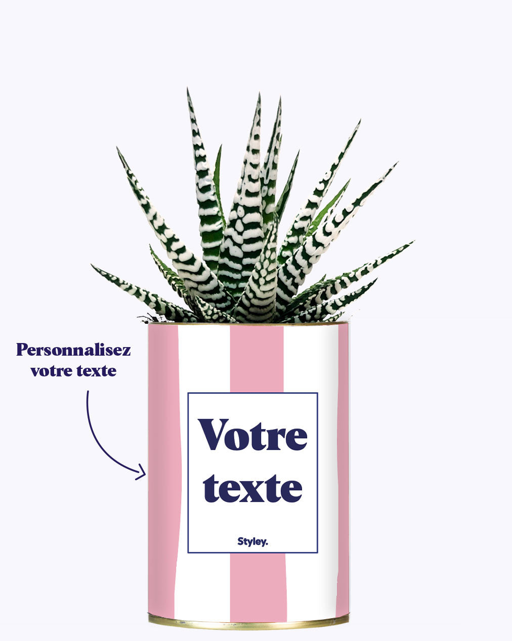 Rayures roses - Plante personnalisable