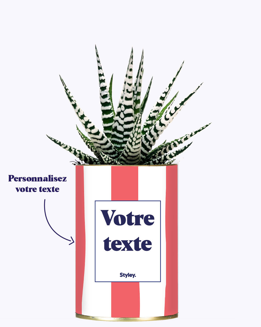 Rayures corail - Plante personnalisable