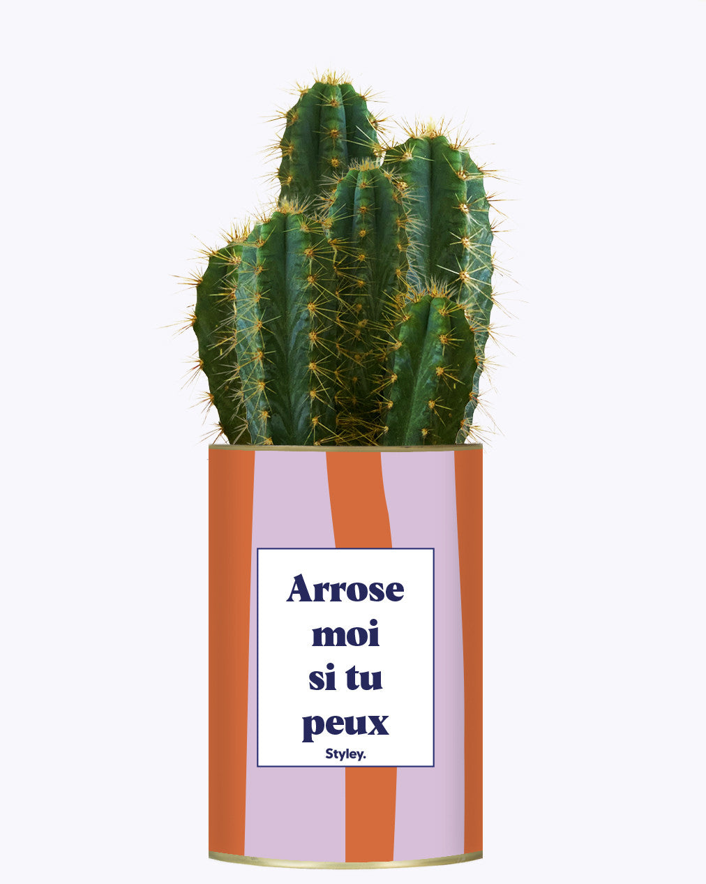 Arrose moi si tu peux - Plante