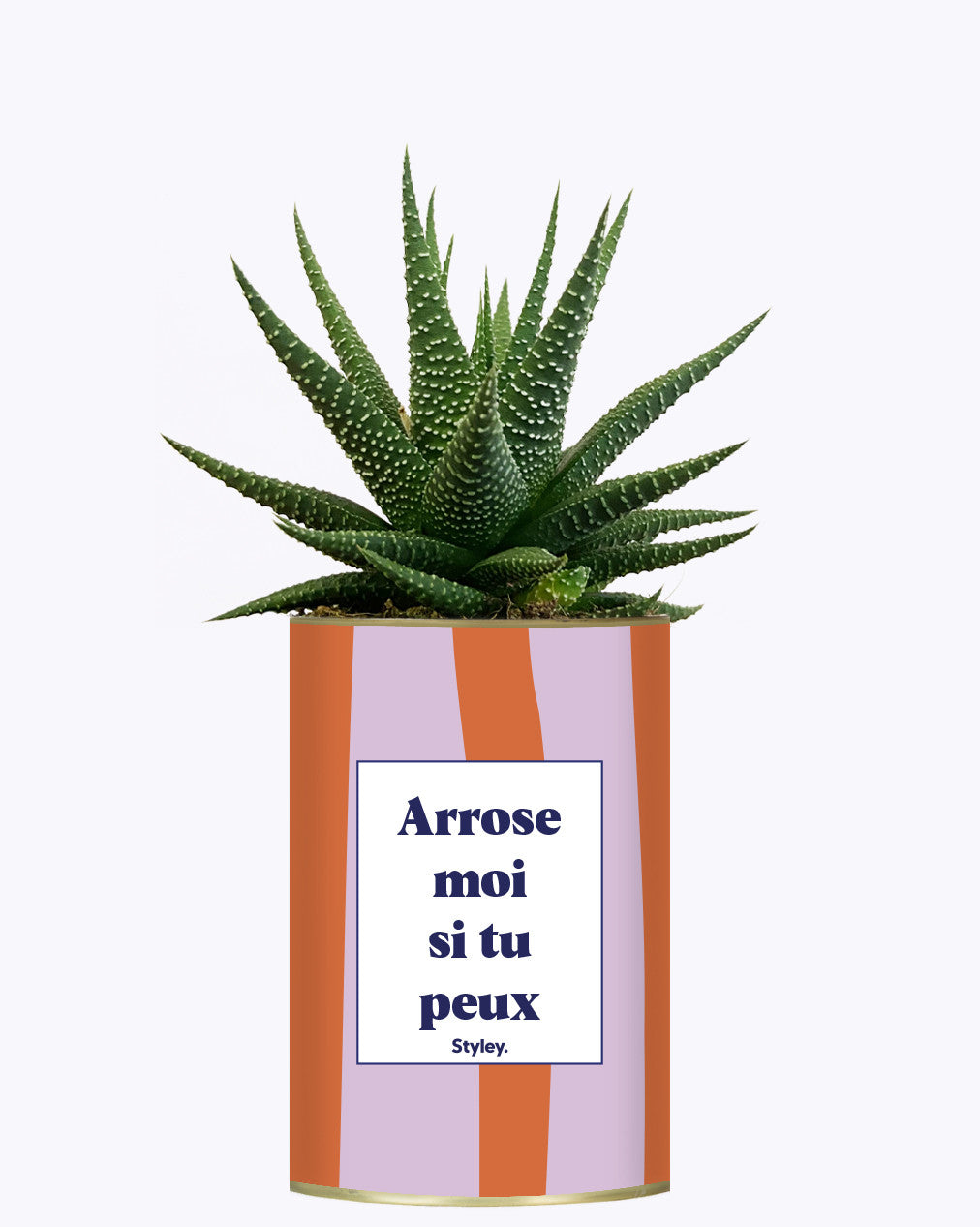 Arrose moi si tu peux - Plante