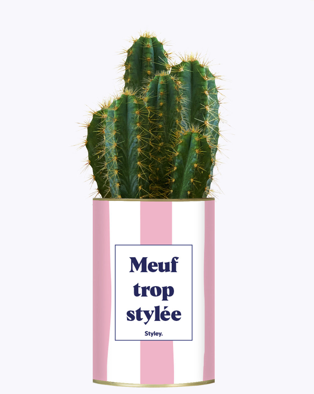 Meuf trop stylée - Plante