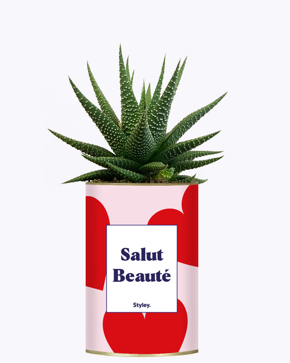Salut beauté - Plante