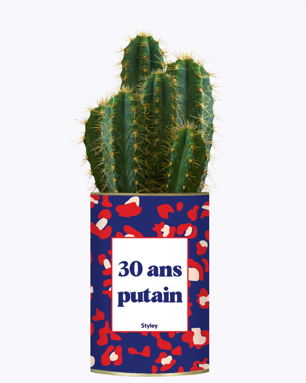 30 ans putain - Plante