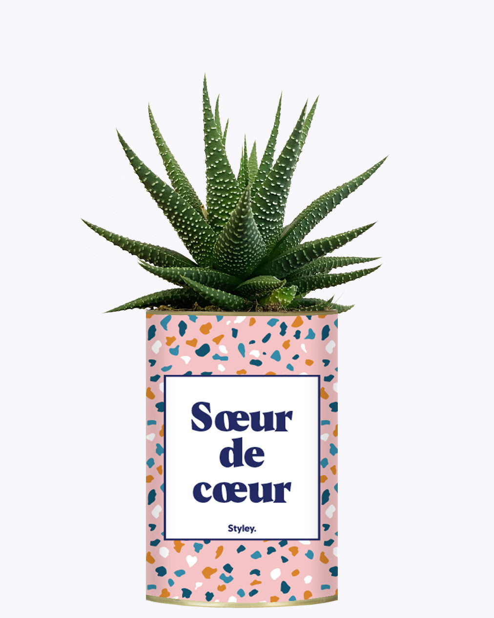 Soeur de coeur - Plante