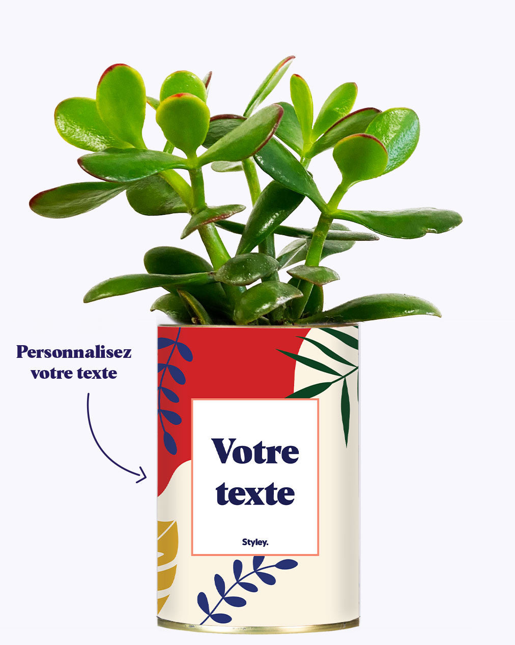 Tropical personnalisable - Cactus