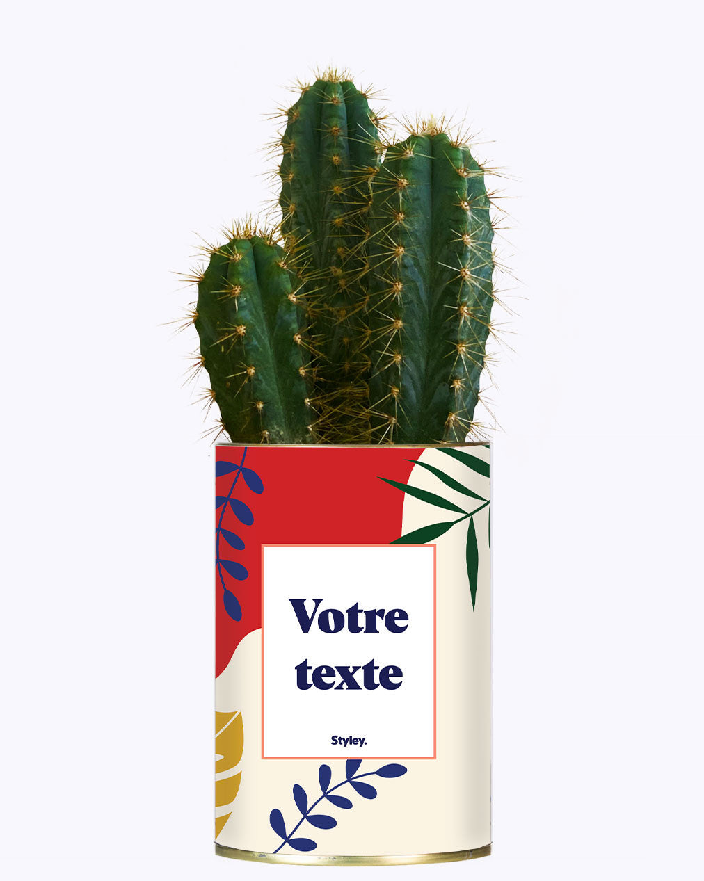 Tropical personnalisable - Cactus