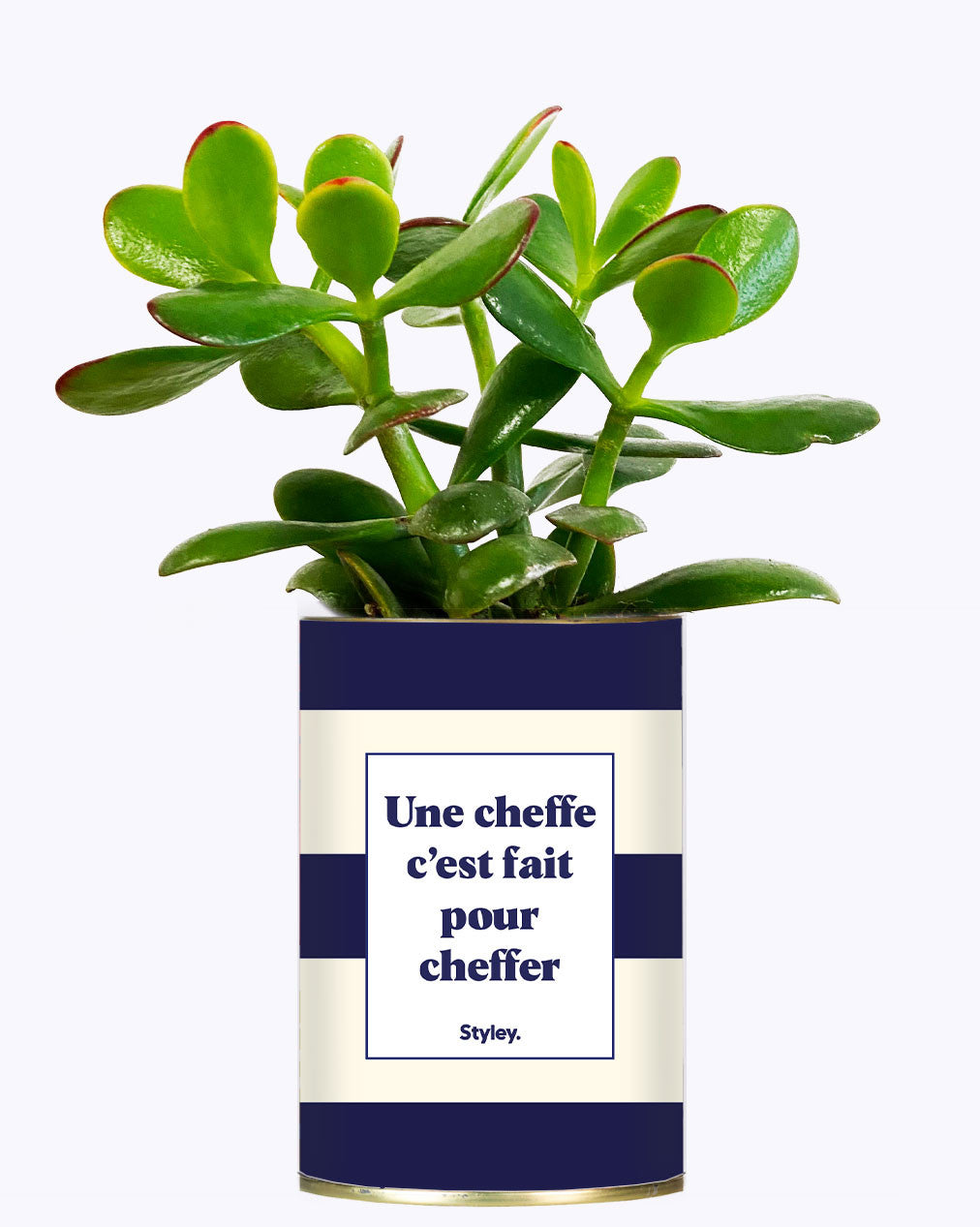 Une cheffe c'est fait pour cheffer - Cactus