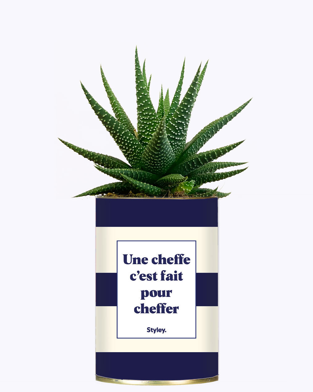 Une cheffe c'est fait pour cheffer - Cactus